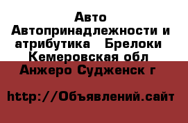 Авто Автопринадлежности и атрибутика - Брелоки. Кемеровская обл.,Анжеро-Судженск г.